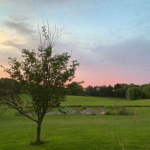 Meet your Posher, Bailey